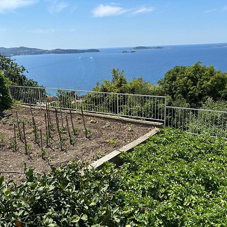 Apartment Mediteran Dubrovnik Mlini Dış mekan fotoğraf